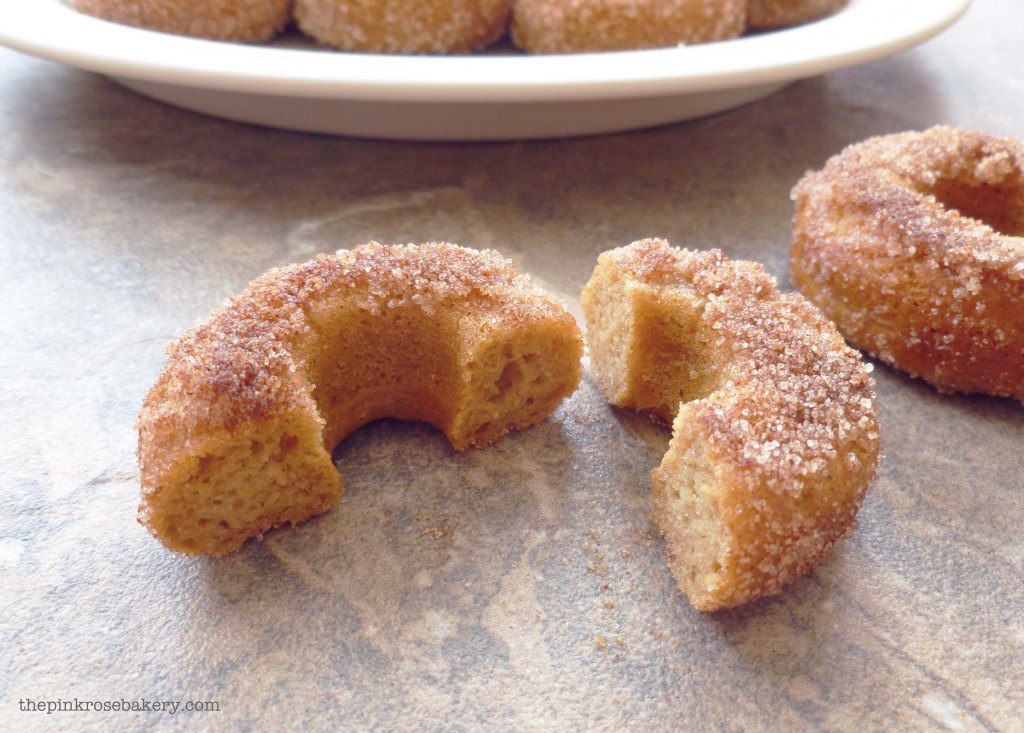 mini cinnamon doughnuts 3 - the pink rose bakery