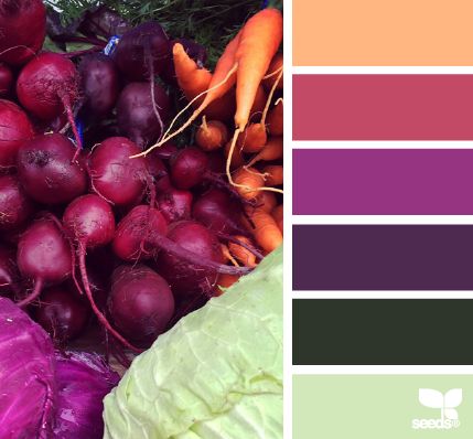 colour palette