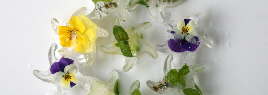 Botanical Ice Cubes - an easy way to add interest to drinks | The Pink Rose Bakery