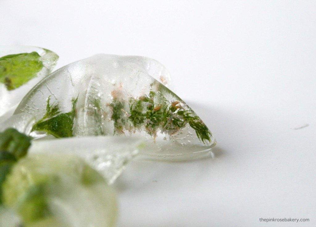 Botanical Ice Cubes - an easy way to add interest to drinks | The Pink Rose Bakery