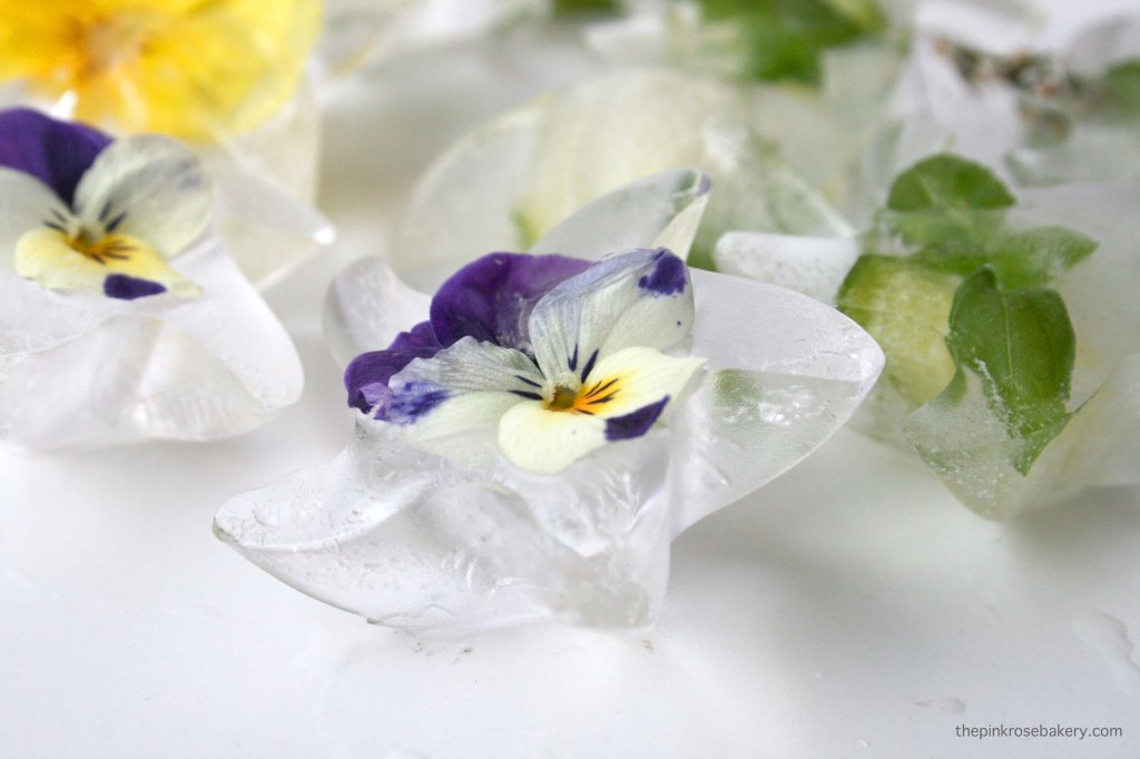 Botanical Ice Cubes - an easy way to add interest to drinks | The Pink Rose Bakery