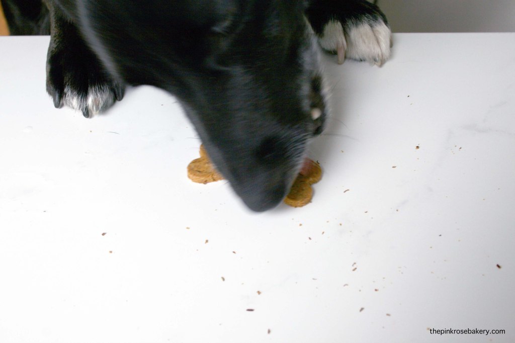 Carrot, Peanut Butter & Cheese Oaty Doggie Biscuits - home-made gluten-free treats for your four legged fur babies | The Pink Rose Bakery