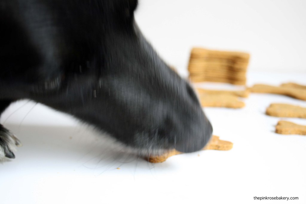 Carrot, Peanut Butter & Cheese Oaty Doggie Biscuits - home-made gluten-free treats for your four legged fur babies | The Pink Rose Bakery