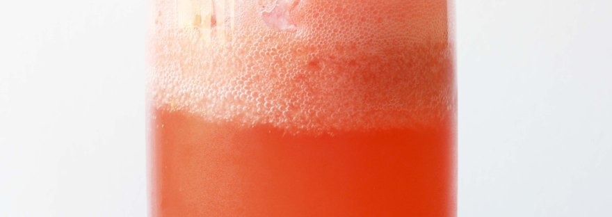 Watermelon Ginger Fizz - only 3 ingredients & very refreshing! | The Pink Rose Bakery