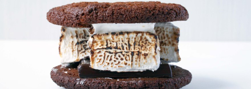 Ginger S'mores with Homemade Vanilla Marshmallow {gluten free} | The Pink Rose Bakery