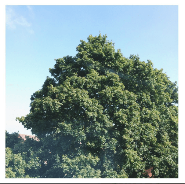 Blue Sky and Dreaming Big