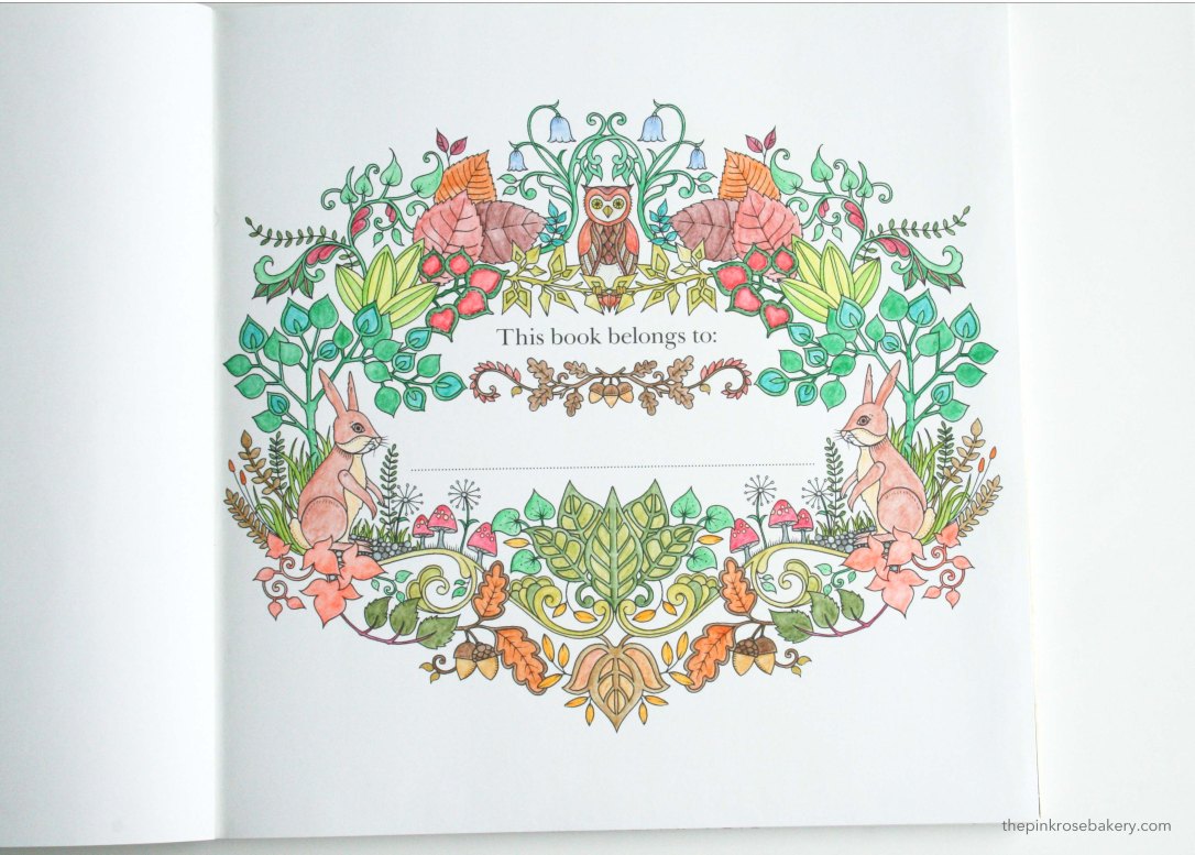 Craft Corner: Colouring for Grown-Ups | The Pink Rose Bakery