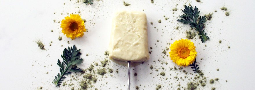 Green Mango & Coconut Ice Lollies {gluten free, dairy free} | The Pink Rose Bakery